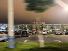 -威海大水泊国际机场