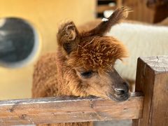 -珠海海泉湾神秘岛亲子乐园