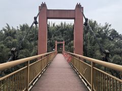 -沐川竹海旅游景区