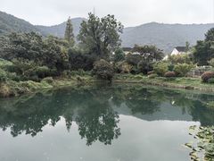 -树山生态村