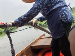 -荷塘月色湿地公园·向阳花洲