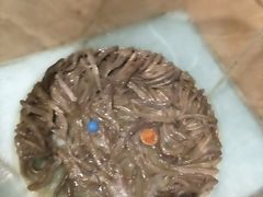 -美乐食街(小南店)