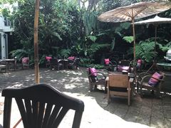 -Fern Forest Cafe