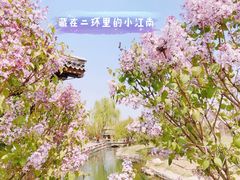 -三里河公园
