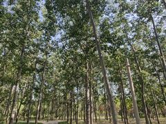 -北京东直门智选假日酒店