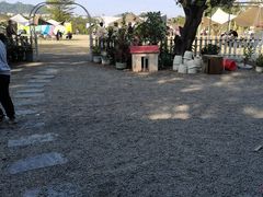 -长洲岛都市农业公园