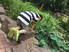 -新湖明珠城