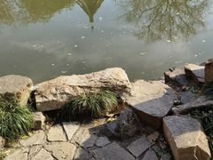 -上海醉白池公园