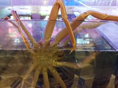 -蟹之国·精品蟹料理(极地店)