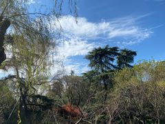 -柳莺湖上·湖景餐厅·江南菜(西湖店)