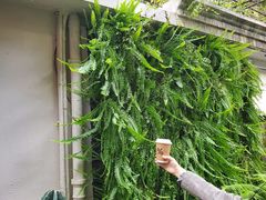 -% Arabica阿拉比卡咖啡(武康路店)