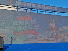 -沈阳奥体冰雪嘉年华