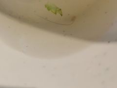 -和庆斋阳坊秘制羊蝎子火锅(云岗店)