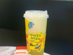 玫珑蜜瓜&白玉苦瓜-混果汁(喜荟城店)