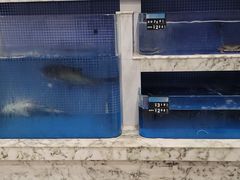 -香山湖渔家大院