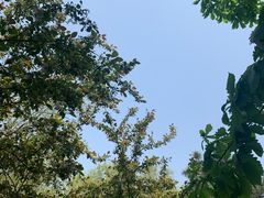 -长白岛森林公园