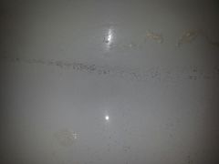 android_upload_pic-宁波九龙湖开元度假村