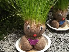 -苏淮景·苏闽融创菜·海鲜(原空港井河轩店)