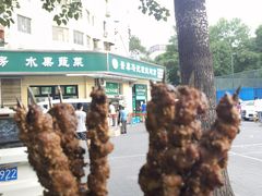 -景泰马记电烤串