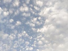 -胡悦里韩式烤肉(莱阳总店)