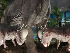 -湖南省地质博物馆