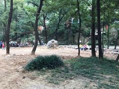 -嵖岈山风景区