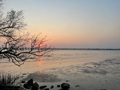 -宝安西湾红树林湿地公园