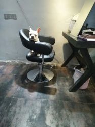 -茶发Salon·烫发染发理发