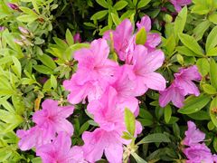 -韶山毛泽东同志故居