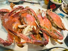 -日月昇渔家菜·海肠捞饭·大连海鲜(星海公园店)