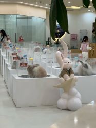 -Moni星球萌宠·小马宝莉·灵蛇·高端高阶全萌宠互动体验俱乐部(红豆国际广场店)