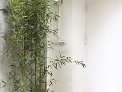 -拾壹cafe·工作室