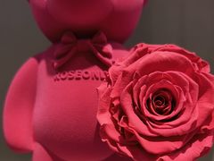 -ROSEONLY诺誓(青岛万象城店)