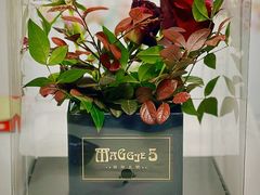 -西郊5号·Maggie 5