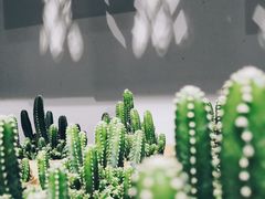 -鹿岛会员店 (龙湖三千集天街店)