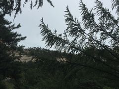 -崂山巨峰游览区