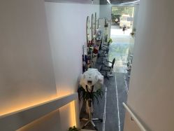 -茶发Salon·烫发染发理发