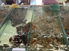 -南戴河海滨市场