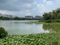 -洛龙公园