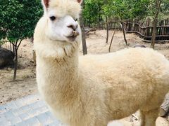 -汕尾铜鼎山旅游区