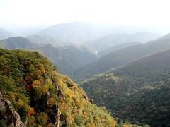 -牛背梁国家森林公园