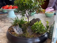 -湖畔居茶楼(湖滨店)