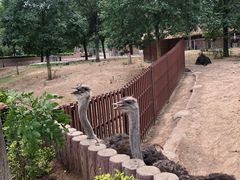 -石家庄市动物园