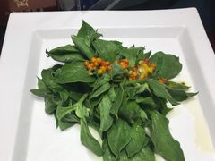 沙棘冰草-九十九顶毡房(阜石路店)