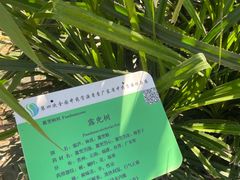 -广东中医药博物馆