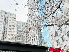 -玛格萝妮比萨屋(四平店)