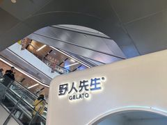 -野人先生现做冰淇淋(北京环宇荟店)