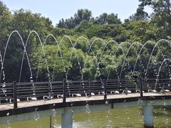 -南湾湖