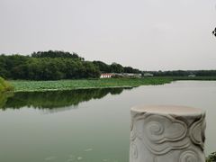 -大兴滨河森林公园