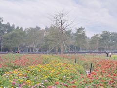 -海珠湖公园